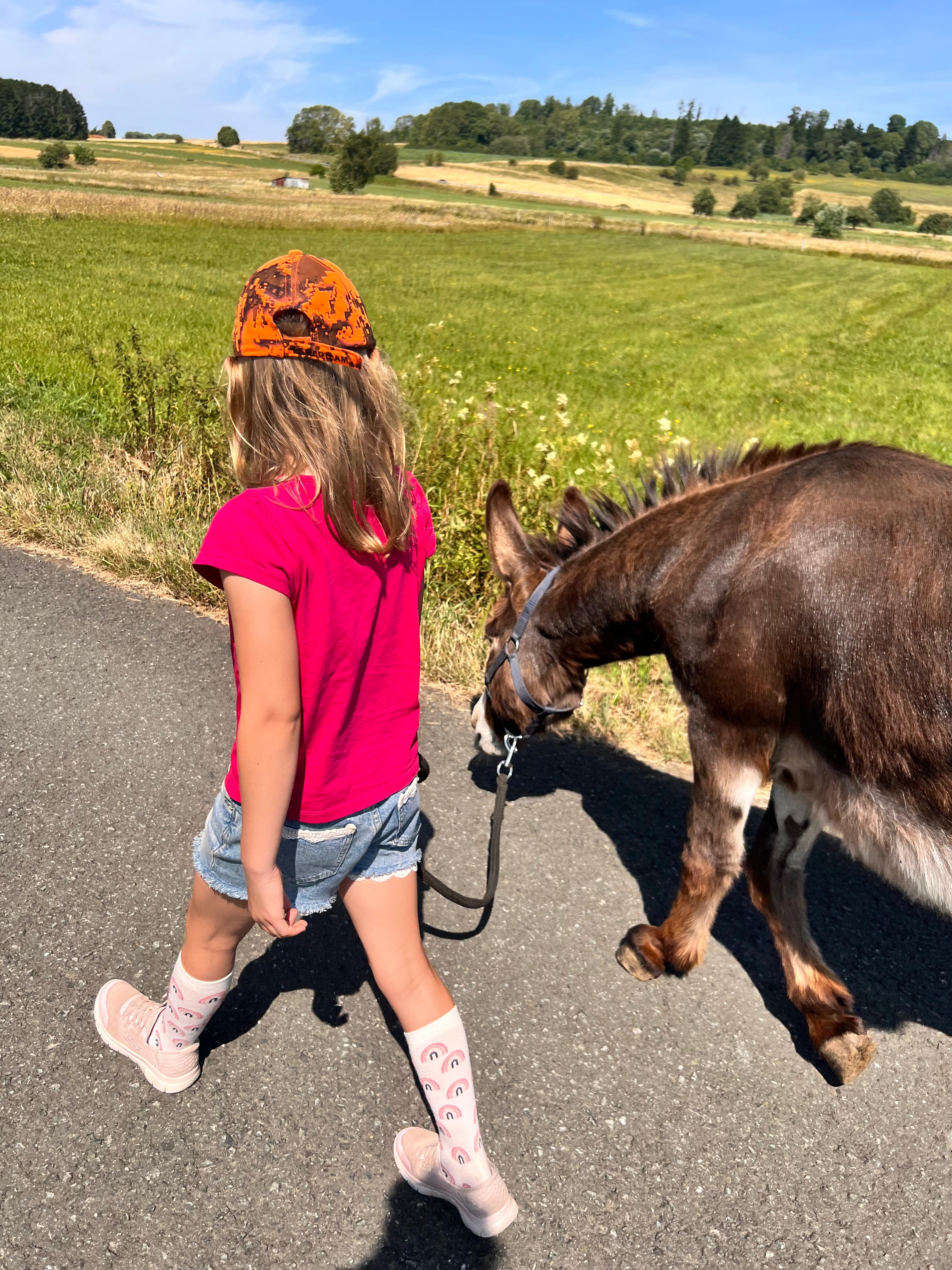 Eselwanderung Bild 2